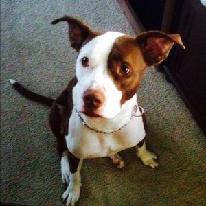 Meet your Posher, Robyn