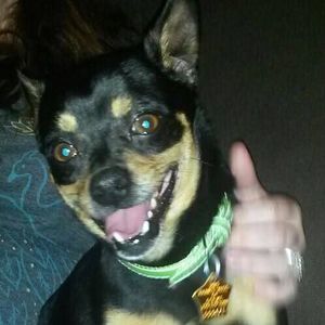 Meet your Posher, Natalie