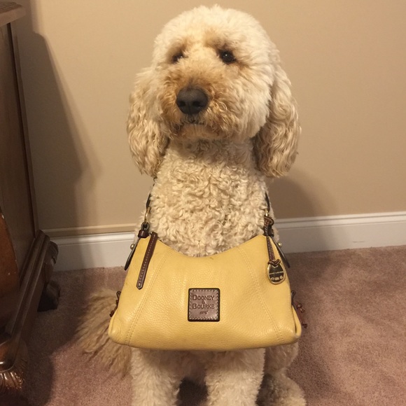 Dooney & Bourke Bag (Great Deal) $35.00