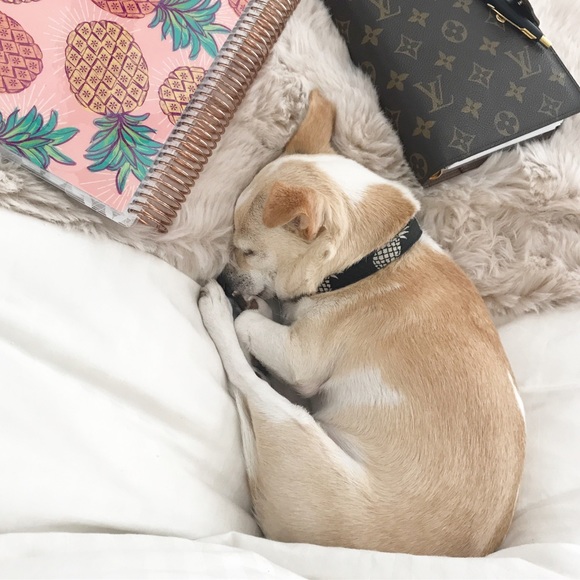 Meet Your Posher, Jasmine 💕 - Picture 4 of 5