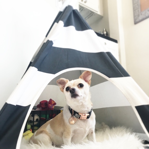 Meet Your Posher, Jasmine 💕 - Picture 5 of 5