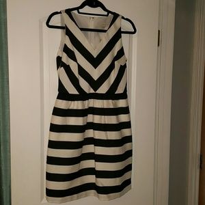 NwT Ann Taylor Loft 6P dress