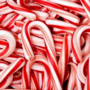 Meet your Posher, Lilly