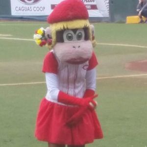 Meet your Posher, Lola