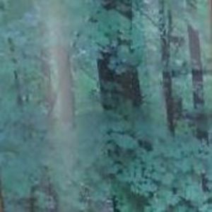 Meet your Posher, Dan-steph