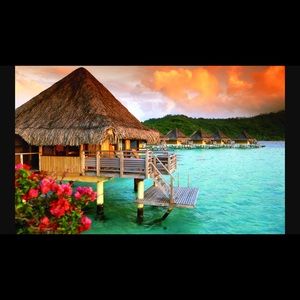 Meet your Posher, Catherine