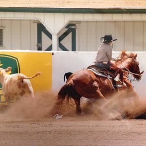 Meet your Posher, Bonnie