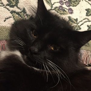 Meet your Posher, Emily