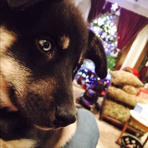 Meet your Posher, Haley