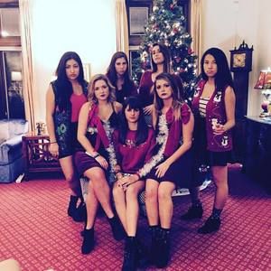 Meet your Posher, Rose