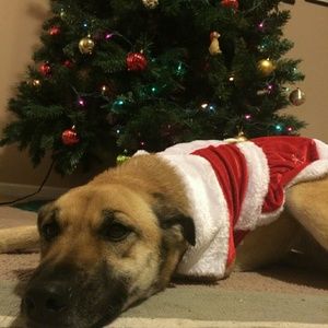 Meet your Posher, Maggie