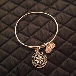 Alex & Ani Compass!