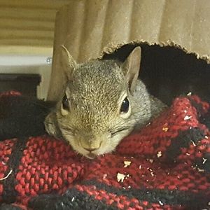 Meet your Posher, Sasha