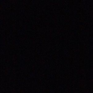 Meet your Posher, Camryn