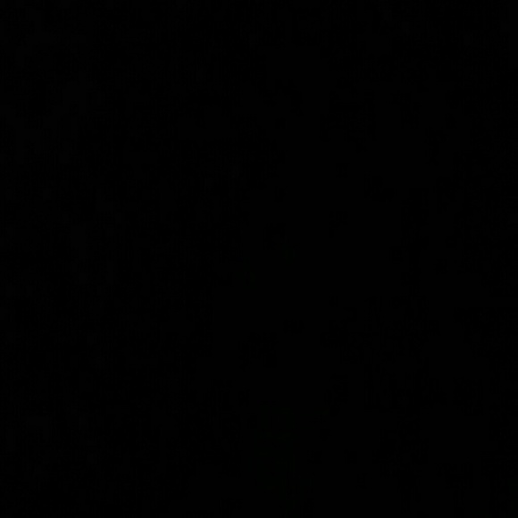 Meet your Posher, Shania