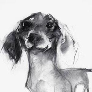 Meet your Posher, Lorinda