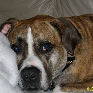 Meet your Posher, Bill