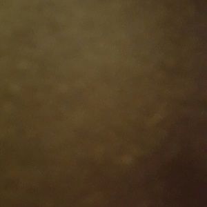 Meet your Posher, Claudette