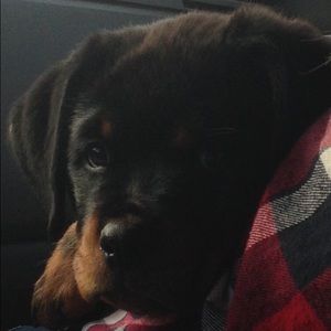 Meet your Posher, Chloe