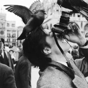 Meet your Posher, Lea