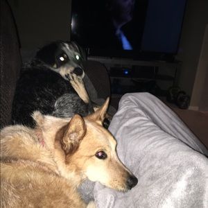 Meet your Posher, Samantha