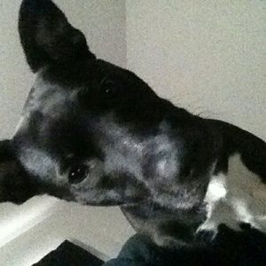 Meet your Posher, Aarica