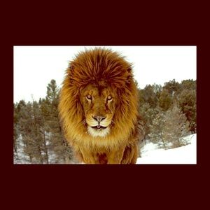 Meet your Posher, Meyene