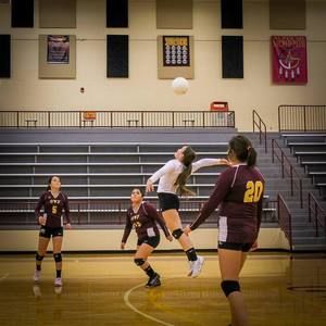 Meet your Posher, Robin