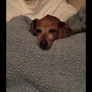 Meet your Posher, Cathy