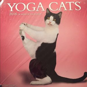 Super adorable 2016 Yoga Cats calendar