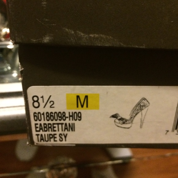 Enzo Angiolini - Picture 4 of 4