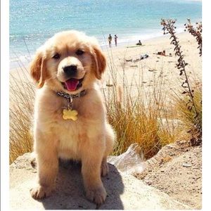 Meet your Posher, Martha