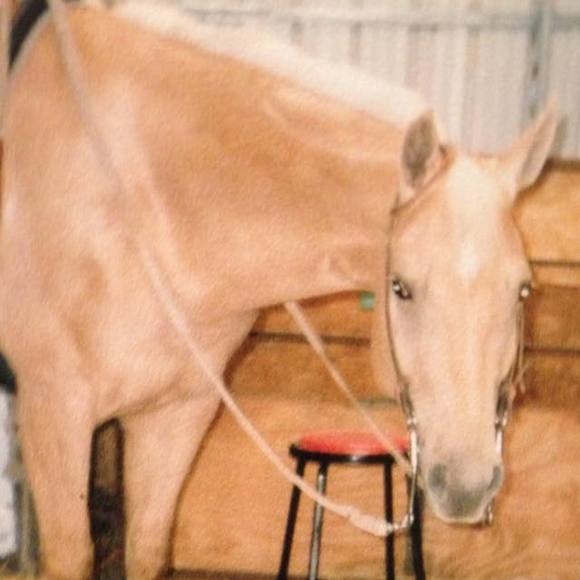 Meet your Posher, Meghan - Picture 1 of 1