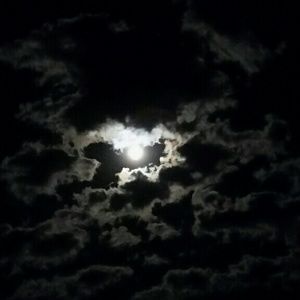 Meet your Posher, Jade