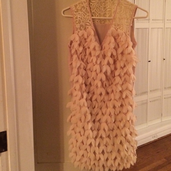 Beautiful mini shift from Anthropologie