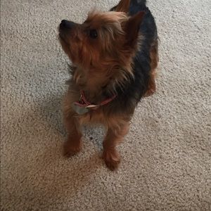 Meet your Posher, Alexandria