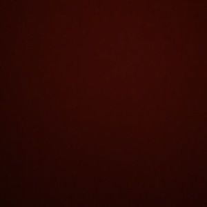 Meet your Posher, Daisy