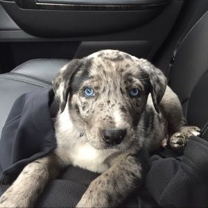 Meet your Posher, Jayden