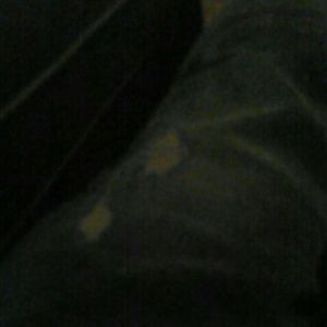 Meet your Posher, Bradley