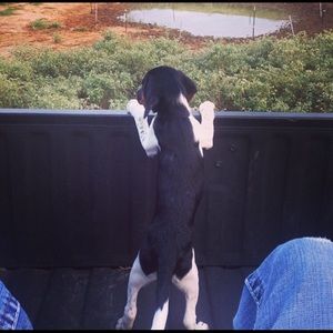 Meet your Posher, Chad