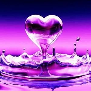 Meet your Posher, Zenja