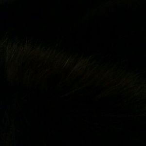 Meet your Posher, Parisa