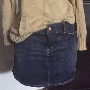 Gap Size 12 1969 Limited Edition Denim Skirt