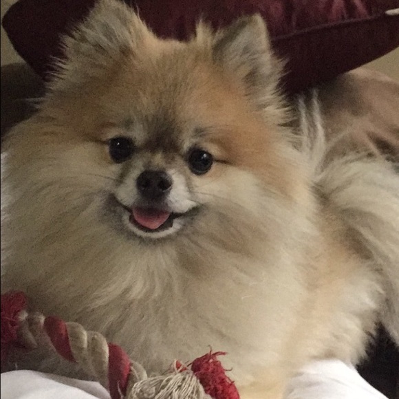 Meet your Posher, Sade