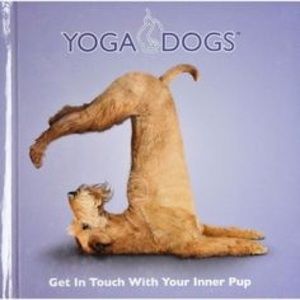 Meet your Posher, Jodi