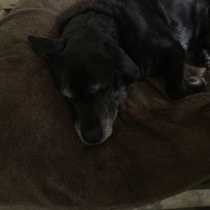 Meet your Posher, Jana