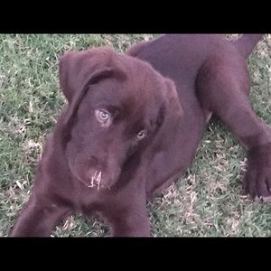 Meet your Posher, Doris