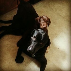 Meet your Posher, Alexis