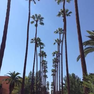 Meet your Posher, Jackie