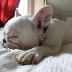 Meet your Posher, Wendy